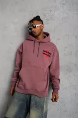 Erkek Şapkalı Güvercin Baskılı Kapşonlu Sweat - Gül Kurusu